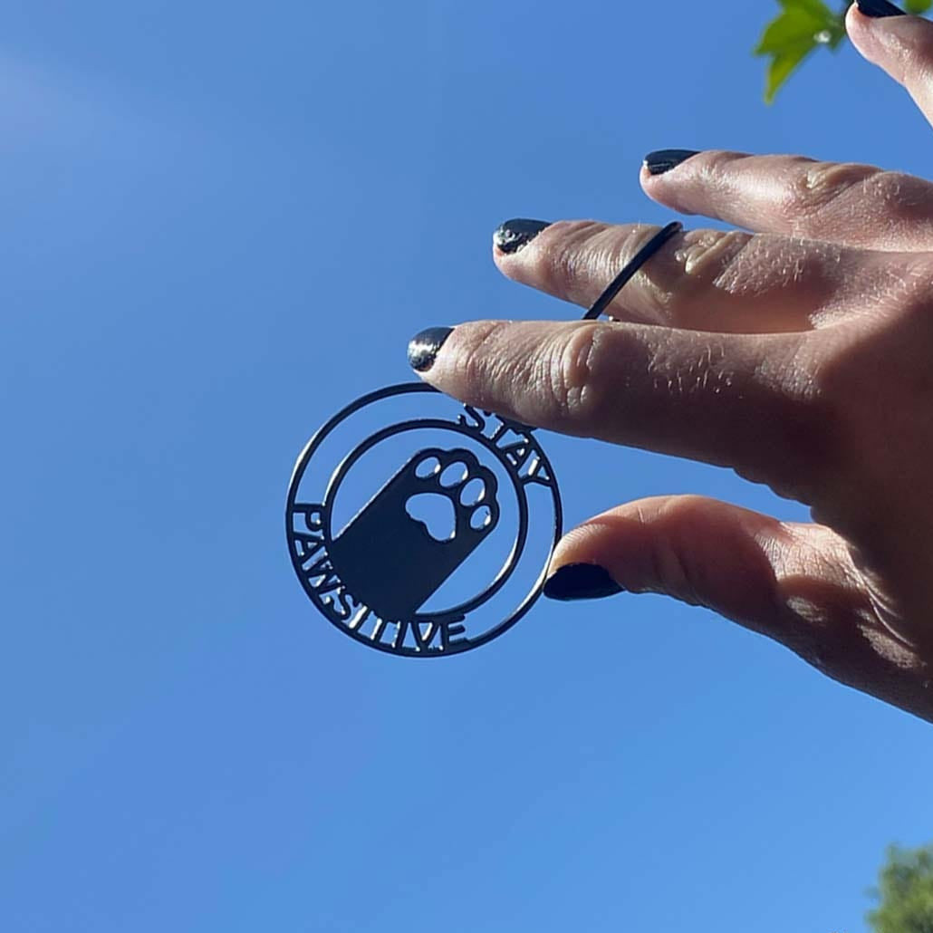 Steel Key Chain Stay Pawsitive
